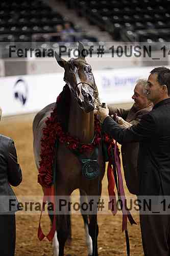 Proof 10usn_14549