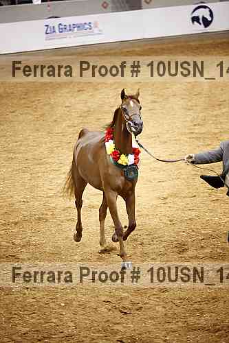 Proof 10usn_14558