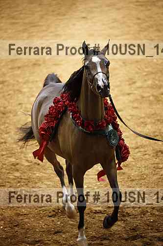 Proof 10usn_14562