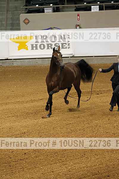 Proof 10usn_22736