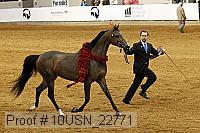 10usn_22771 proof