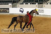 10usn_22774 proof