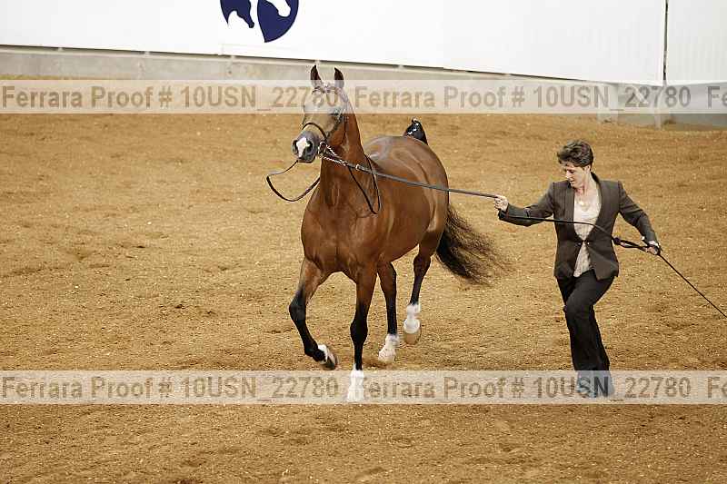 Proof 10usn_22780