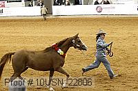 10usn_22806 proof