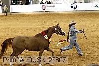 10usn_22807 proof