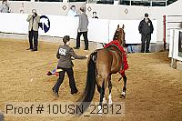 10usn_22812 proof