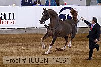 10usn_14361 proof