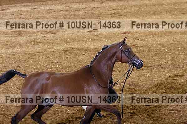 Proof 10usn_14363