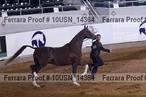 Proof 10usn_14364