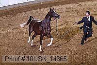 10usn_14365 proof