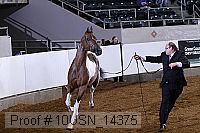 10usn_14375 proof