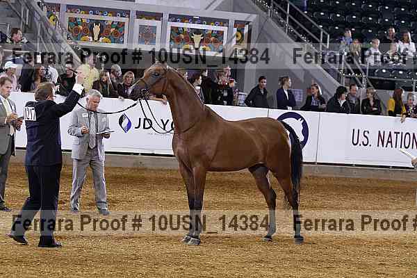 Proof 10usn_14384