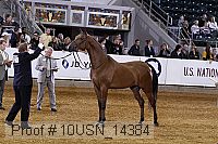 10usn_14384 proof