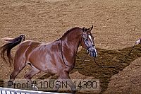10usn_14390 proof