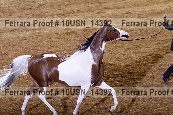 Proof 10usn_14392