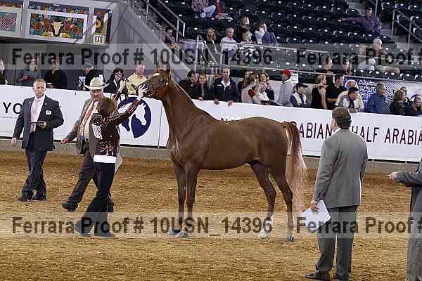 Proof 10usn_14396
