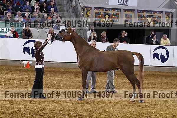 Proof 10usn_14397
