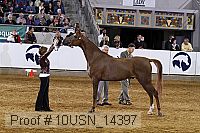 10usn_14397 proof