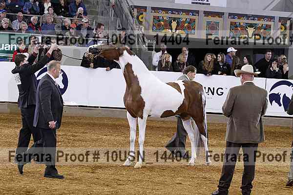 Proof 10usn_14404
