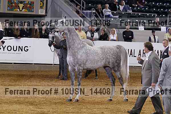 Proof 10usn_14408