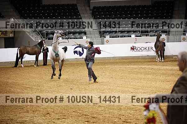 Proof 10usn_14431