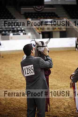 Proof 10usn_14436
