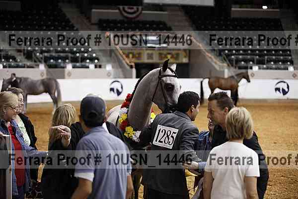 Proof 10usn_14446
