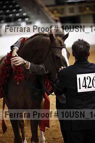 Proof 10usn_14460