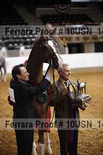 Proof 10usn_14465