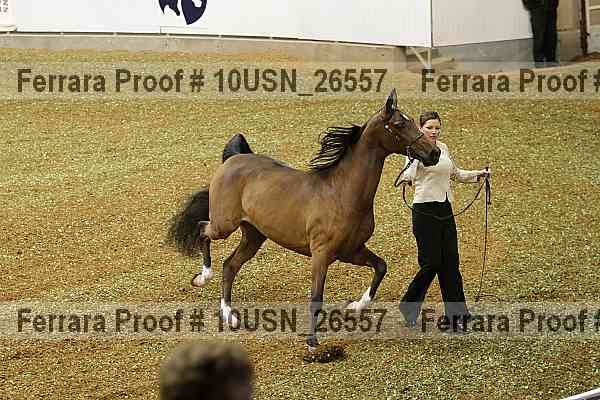 Proof 10usn_26557