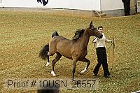 10usn_26557 proof