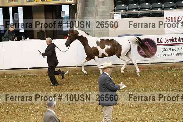 Proof 10usn_26560
