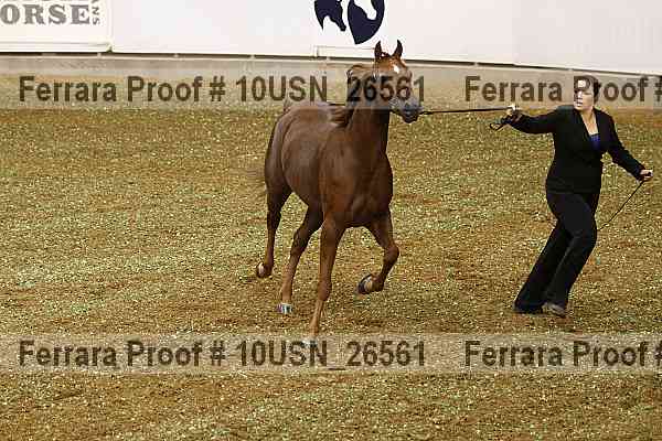 Proof 10usn_26561