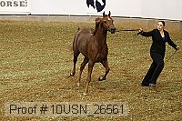 10usn_26561 proof