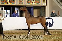 10usn_26564 proof