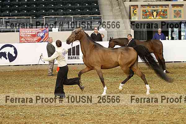 Proof 10usn_26566