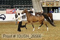 10usn_26566 proof