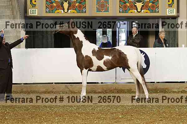 Proof 10usn_26570