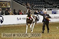 10usn_26588 proof