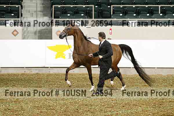 Proof 10usn_26594