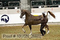 10usn_26602 proof
