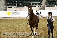 10usn_26603 proof