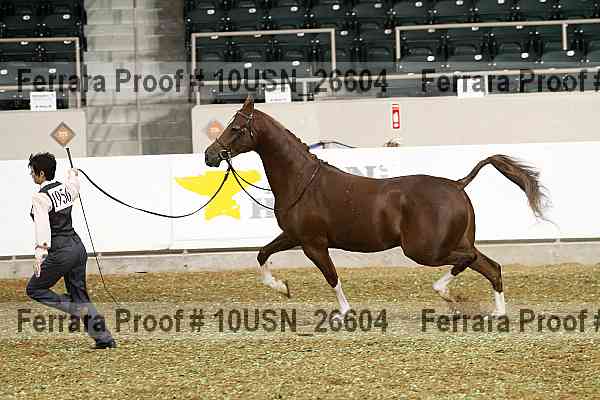Proof 10usn_26604