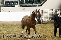 10usn_26606 proof
