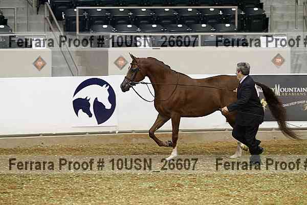 Proof 10usn_26607