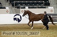 10usn_26607 proof