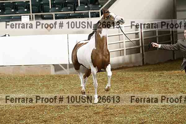 Proof 10usn_26613