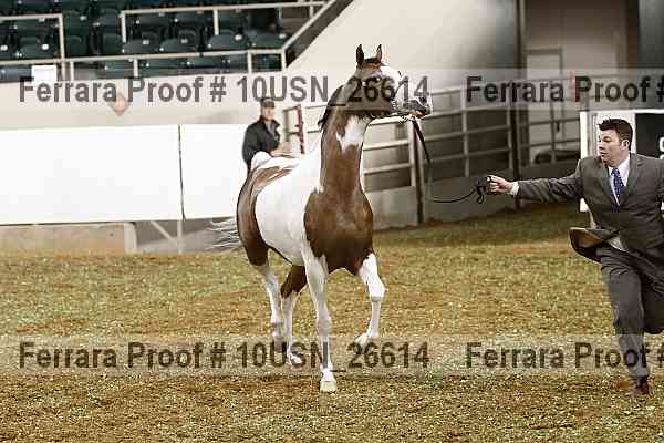 Proof 10usn_26614