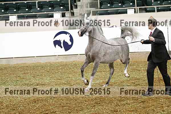 Proof 10usn_26615
