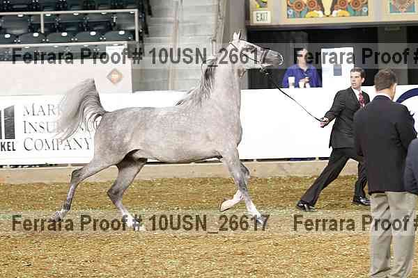 Proof 10usn_26617